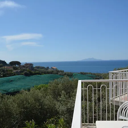 Dania Hotel Sorrento