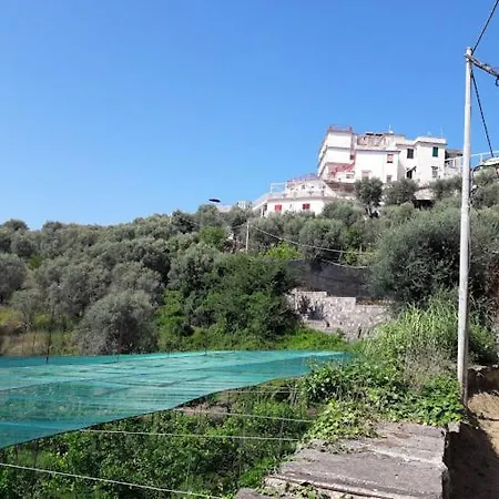 Hotel Dania Sorrento