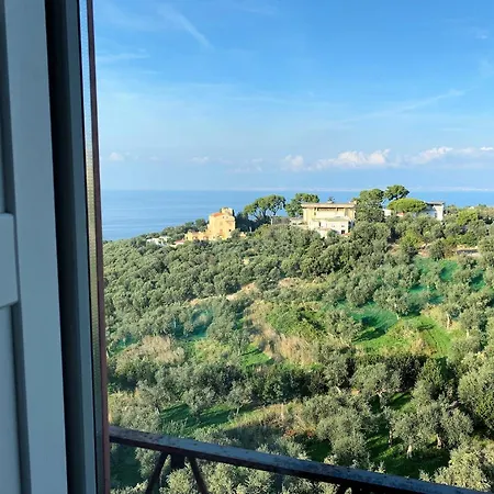 Dania Hotel