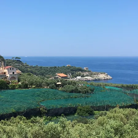 Dania Hotel Sorrento