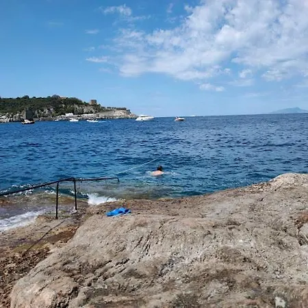 Hotel Dania 3*