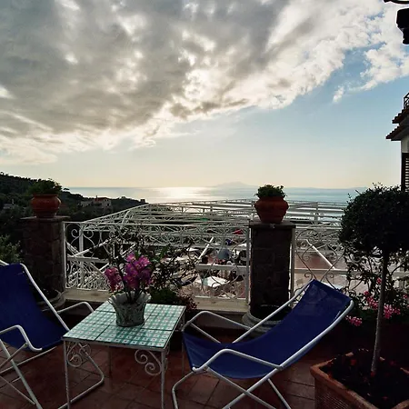 Dania Sorrento
