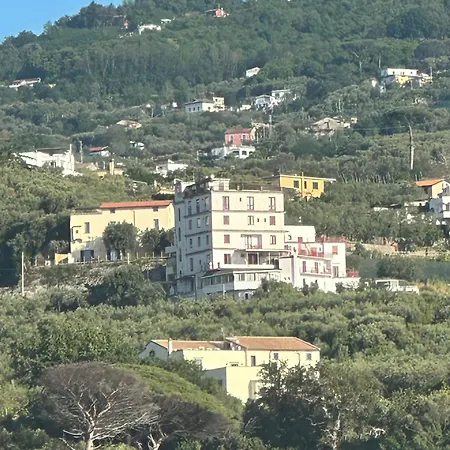 Dania Hotel 3*