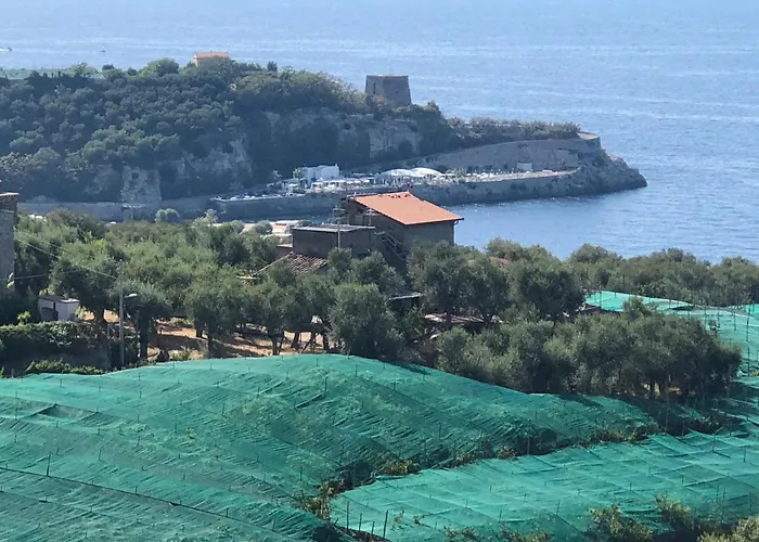 Ξενοδοχείο Dania