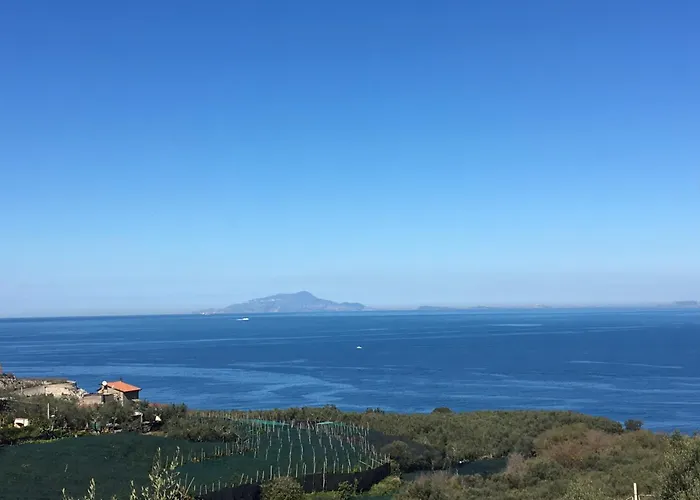 Dania Ξενοδοχείο 3*