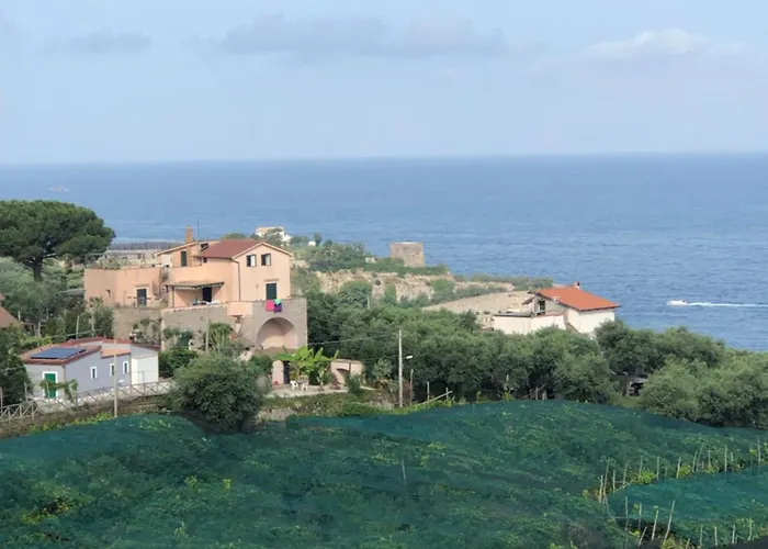 Dania Ξενοδοχείο