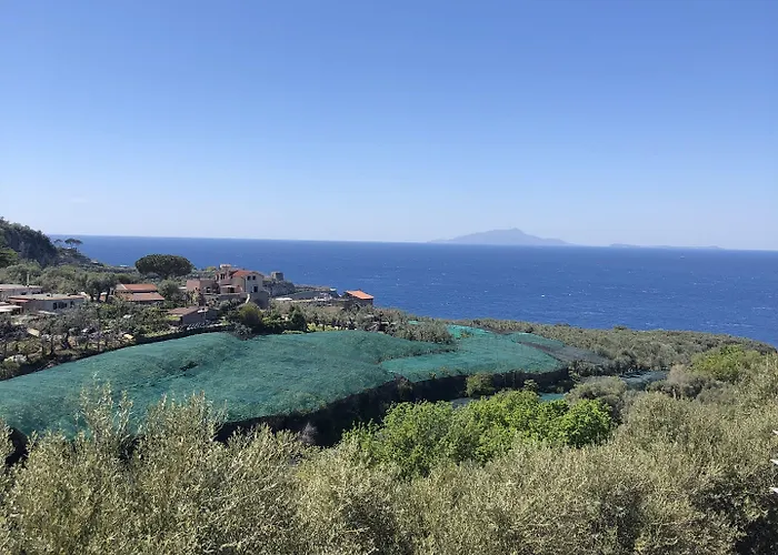 Ξενοδοχείο Dania 3*