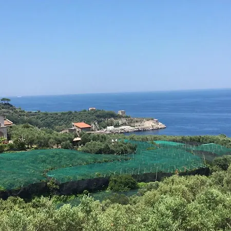 Dania Hotel Sorrento
