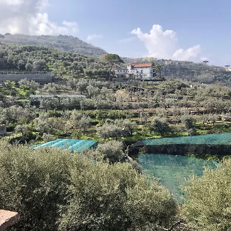 Ξενοδοχείο Dania