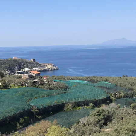 Hotel Dania Sorrento