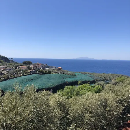 Ξενοδοχείο Dania 3*