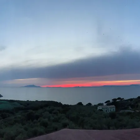 Dania 3* Σορέντο