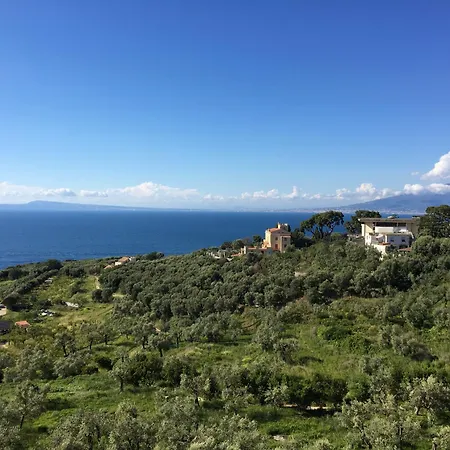 Dania Sorrento