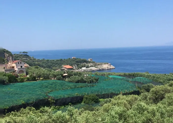 Dania Hotel Sorrento