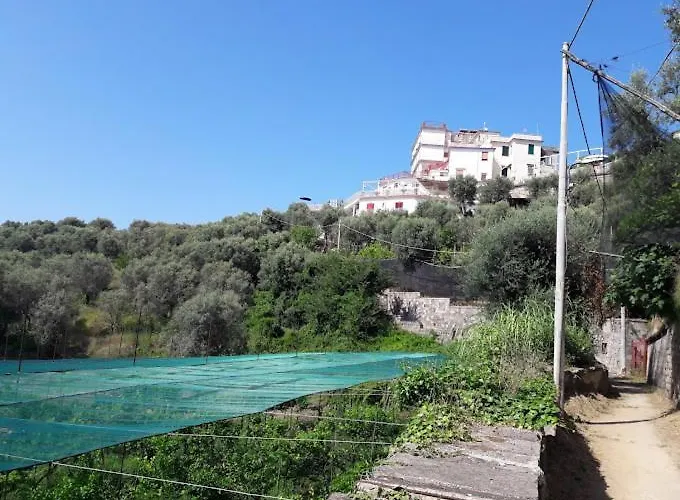 Hotel Dania Sorrento