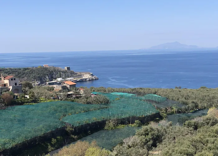 Hotel Dania Sorrento